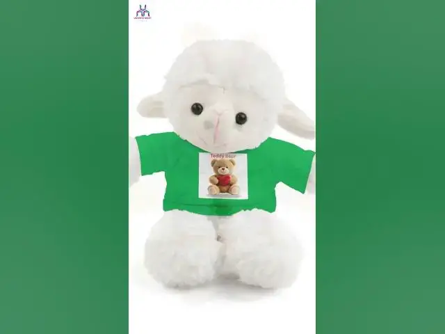 Video thumbnail for Teddy Bear stuffed animal | Brown plush bear with printed tee
