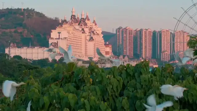 Video thumbnail for China: Birds and people share landscape in China's Xishuangbanna.