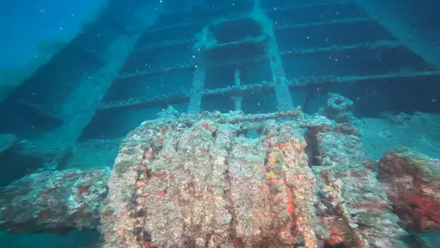 Video thumbnail for Türkiye: Divers mark Türkiye’s Victory Day with underwater expedition to World War I shipwrecks.