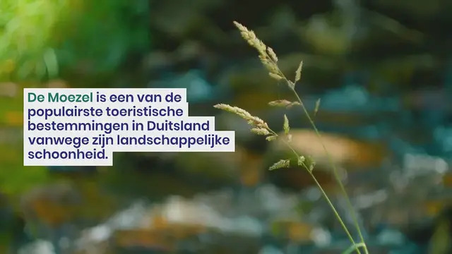 Video thumbnail for Laat je verrassen door de Moezel