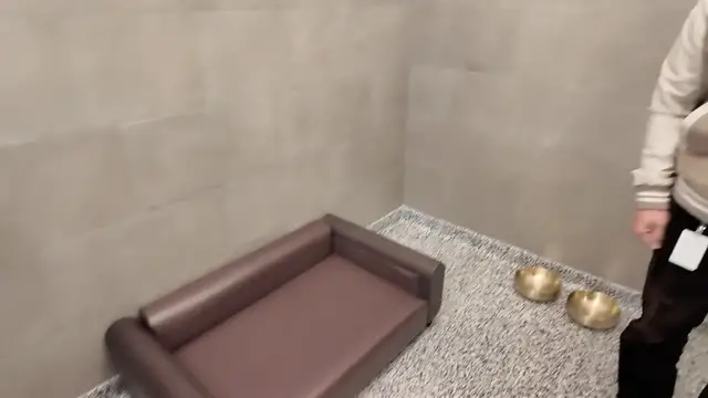 Video thumbnail for Rebuilding Brooklyn: Life's not so 'ruff' at luxury pet spa resort opens in DUMBO