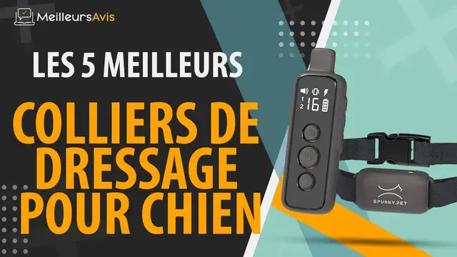 Video thumbnail for ⭐️ MEILLEUR COLLIER DE DRESSAGE POUR CHIEN - Avis & Guide d'achat (Comparatif 2021)