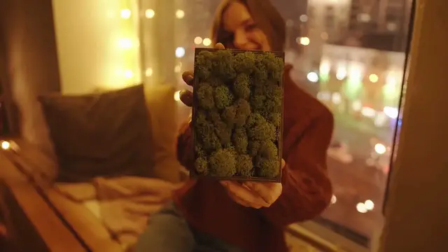 Video thumbnail for Home Decor With Recycled Materials