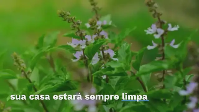 Video thumbnail for Chega de bagunça em casa: com o método japonês “5s” de arrumar sua casa estará sempre limpa