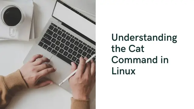Video thumbnail for Cat Command in Linux | Cat Command