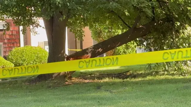 Video thumbnail for US: Aftermath of Severe Thunderstorms and High Winds in Rochester.