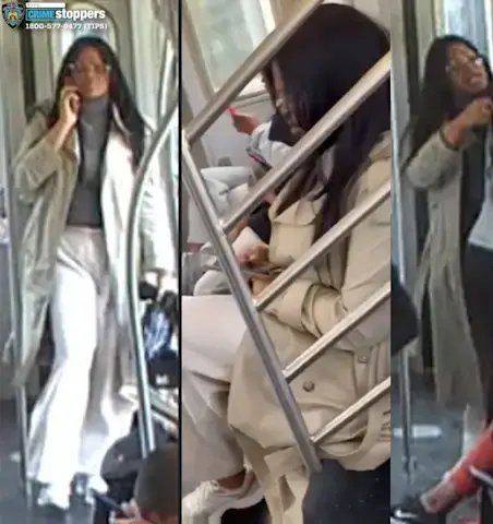 Video thumbnail for Woman violently assaulted with umbrella on subway train