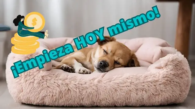 'Video thumbnail for 🐕Cómo empezar con camas para perros 💰'