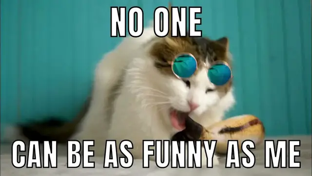 'Video thumbnail for Discover Joyful Paws: Unleash the World of Pet Happiness!'