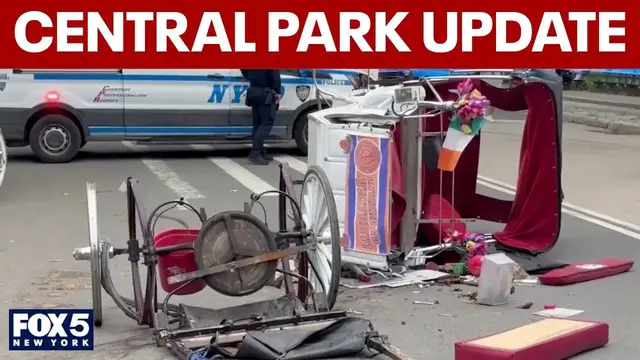 Video thumbnail for Central Park carriage horse riders temporarily stopped