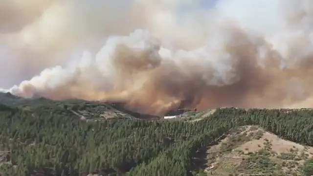 Video thumbnail for Waldbrand im August 2019 in Valleseco Video 3