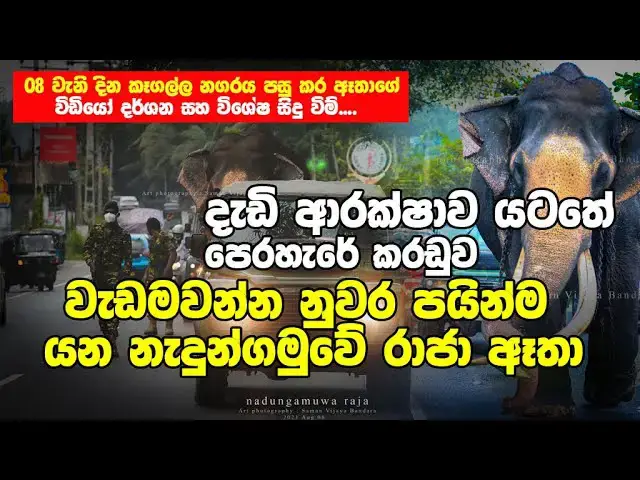 Video thumbnail for Special moments on the way to Nedungamuwe Raja Nuwara