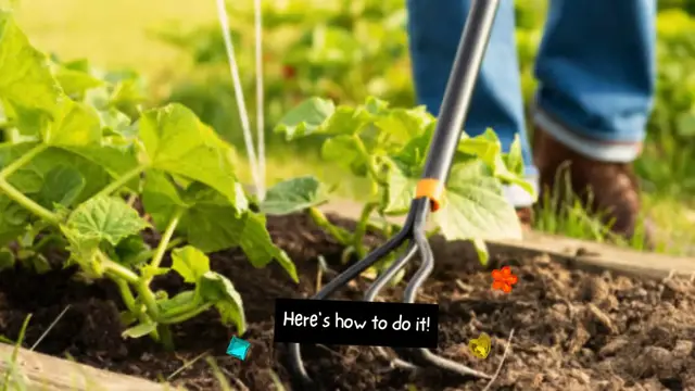 Video thumbnail for Do you want to extend the growing season for your cucumber plants