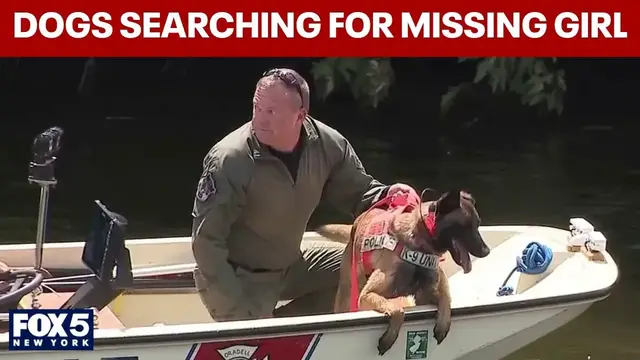 Video thumbnail for Dogs now searching for missing 10-year-old girl