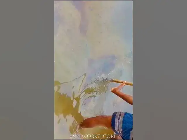 'Video thumbnail for মাটির নিচ থেকে স্বয়ংক্রিয়ভাবে তেল উঠছে মেহেরপুরের ভৈরব নদে! #তেল_আবিষ্কার #রহস্যময়_তেল #বাংলাদেশ'