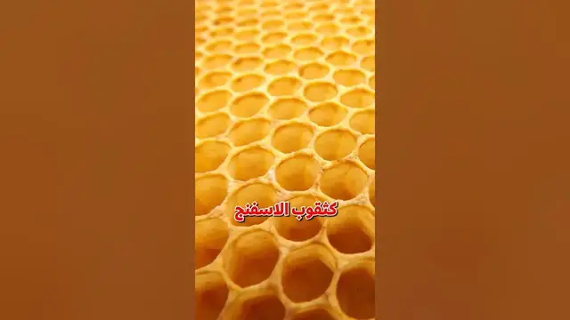 Video thumbnail for فوبيا الثقوب
