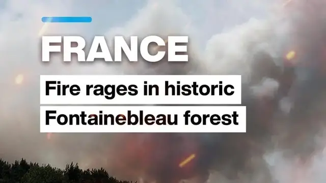 Video thumbnail for Fire in Fontainebleau: Iconic forest south of Paris engulfed in flames