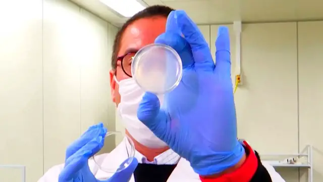 Video thumbnail for Tiny worms may diagnose certain cancers earlier, potentially saving lives.