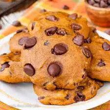 Video thumbnail for Pumpkin Chocolate Chip Cookies