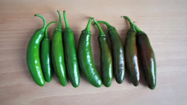 Video thumbnail for Simple  Spicy Guacamole Recipe with Fresh Jalapeños   Pepper Geek(720P HD)