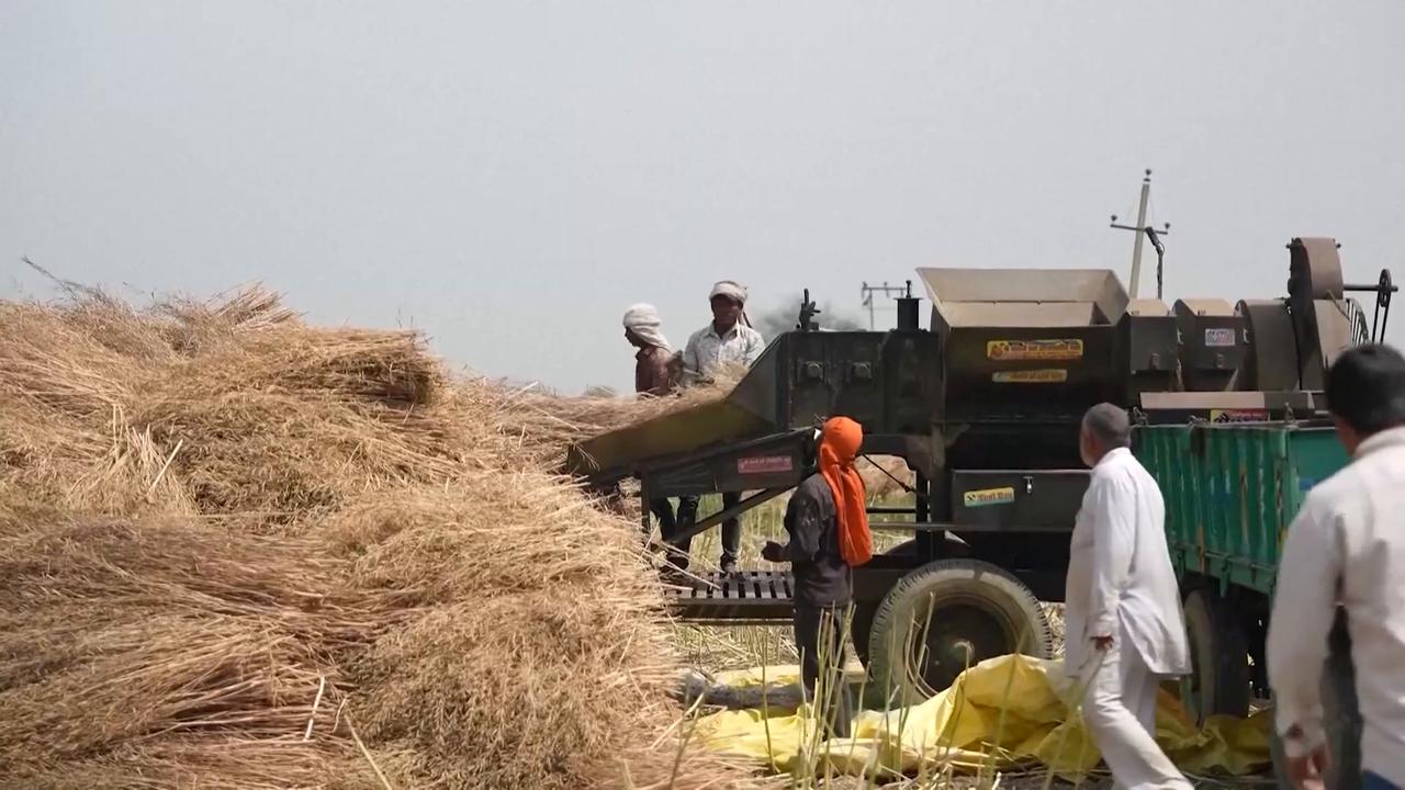 Video thumbnail for India: India braces for more extreme heat as El Nino raises drought, inflation fears.
