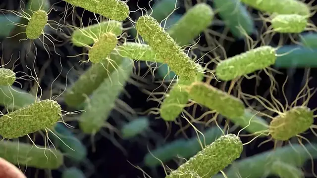 Video thumbnail for Shinnecock Nation leaders link salmonella outbreak to private community event