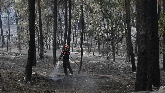 Video thumbnail for Fire reignites in Fontainebleau forest as investigation continues