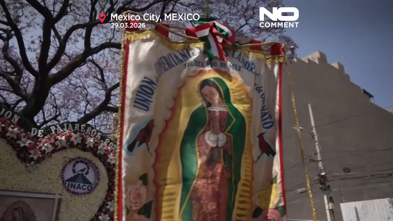 Video thumbnail for Palm Sunday bird sellers in Mexico City cling to fading tradition