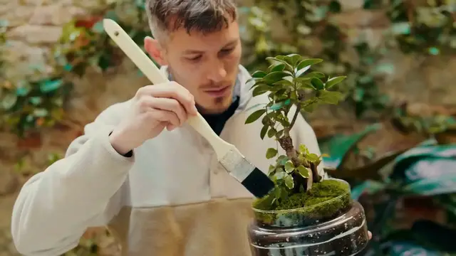 Video thumbnail for Best Succulents For Terrariums