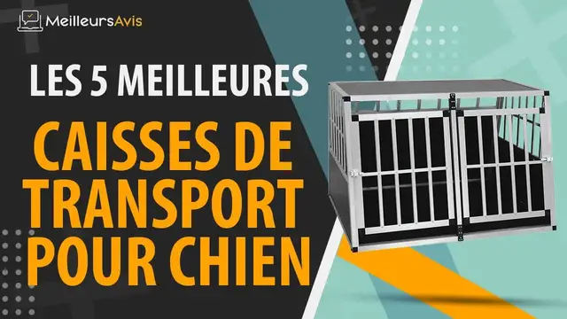 Video thumbnail for ⭐️ MEILLEURE CAISSE DE TRANSPORT POUR CHIEN - Avis & Guide d'achat (Comparatif 2021)