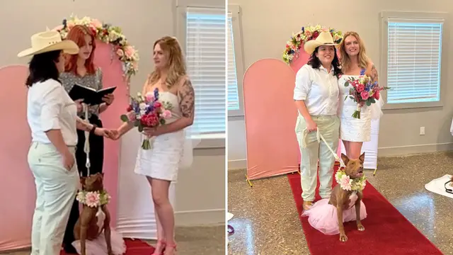Video thumbnail for Couple Who Adopted Rescue Dog Get Married At Her Shelter