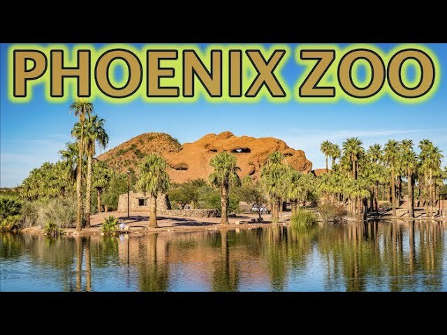 Video thumbnail for Phoenix Zoo Animals Tour