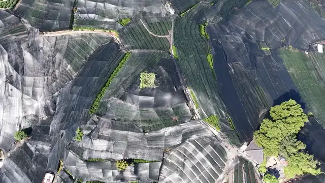 Video thumbnail for China: High-temperature Agriculture 2.