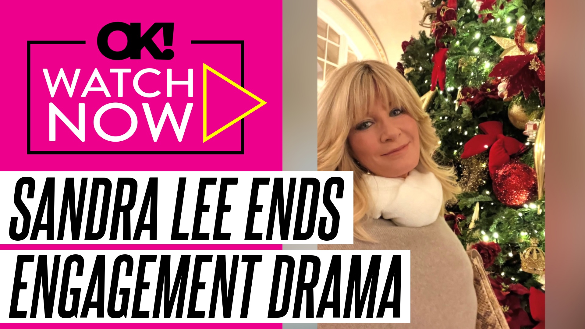 Video thumbnail for Sandra Lee's Heartbreaking Split: TV Chef Calls Off Engagement With Fiance Ben Youcef After 5 Years of Dating