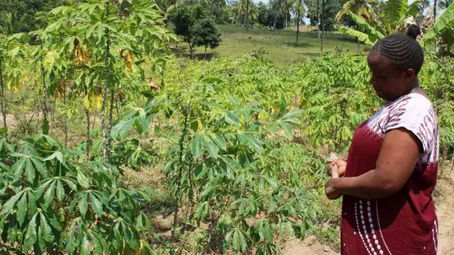 'Video thumbnail for Kenya project looks at impact of climate change on women's mental health'