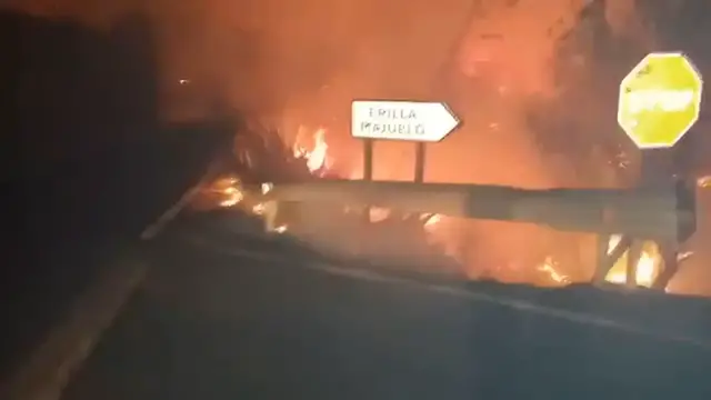 Video thumbnail for Waldbrand imm August 2019 in Valleseco - Video 5