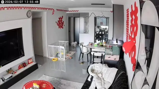 Video thumbnail for Dog Freaks Out When Fish Jumps from Aquarium!