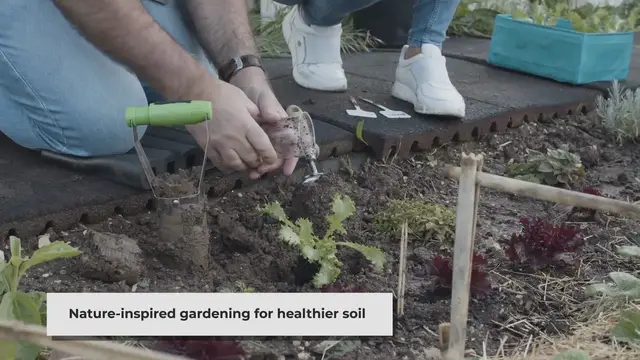 Video thumbnail for Back to Eden Gardening: A Natural and Sustainable Approach