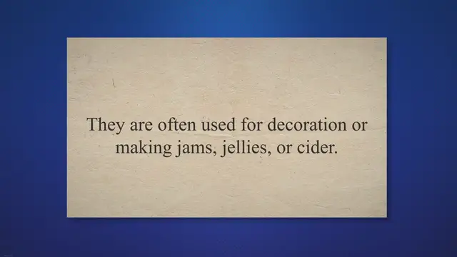 Video thumbnail for Can You Eat Crab Apples?