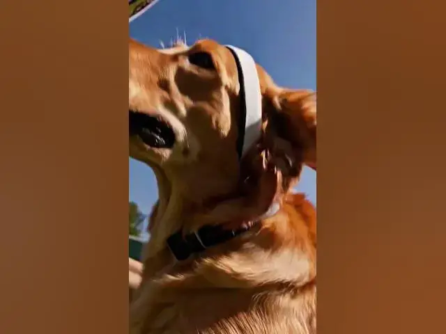 Video thumbnail for December 12, 2025