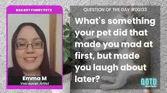 Video thumbnail for Emma's Shih Tzu went green after a bath!