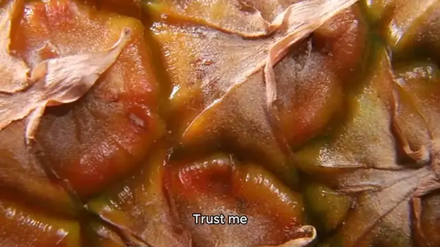 Video thumbnail for Caramel Apple Pecan Tarts recipe