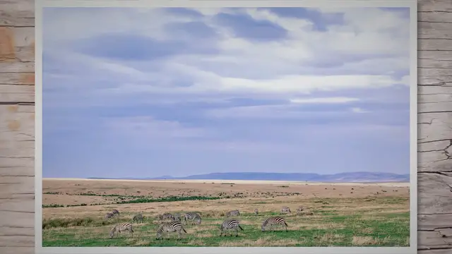 Video thumbnail for Alpine Tundra Description: Unveiling the Secrets of Alpine Tundra's Unique Ecosystem
