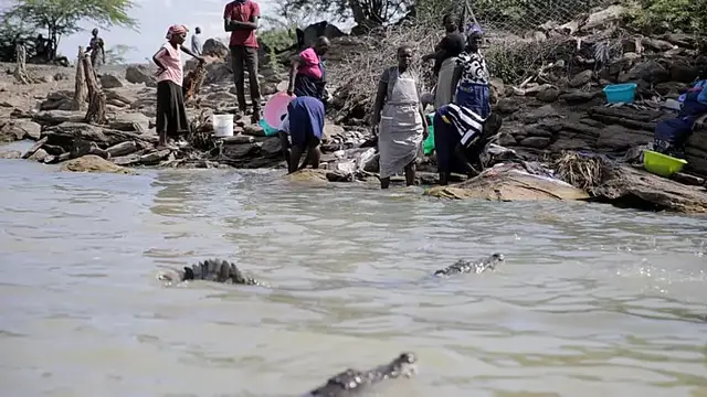 Video thumbnail for Kenya relocates crocodiles as rising waters bring them into conflict with humans