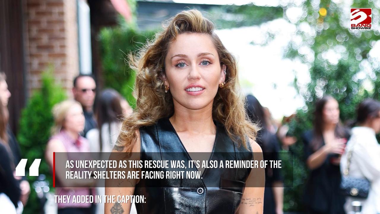 Video thumbnail for Miley Cyrus' family gets even bigger as she welcomes another new arrival