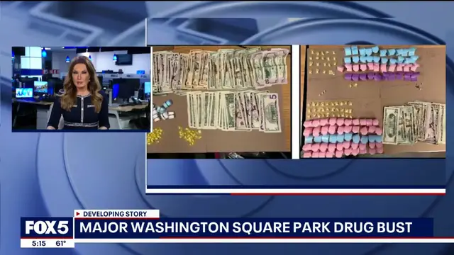'Video thumbnail for Major Washington Square Park drug bust'