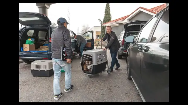 Video thumbnail for Operation Frodo 2025: When Vehicles Become Lifelines