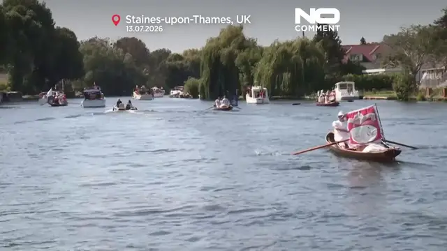 Video thumbnail for King’s Swan Upping on the Thames shows healthy cygnets but rising litter