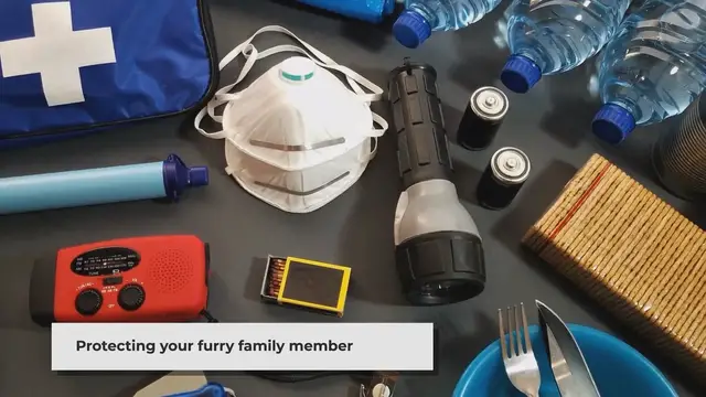 'Video thumbnail for Emergency Preparedness for Dog Owners_ Protect Your Furry Friend'