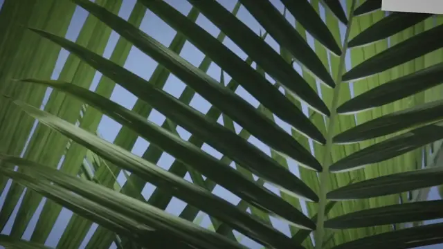 Video thumbnail for 2 Days In Phnom Penh Itinerary: A Complete Guide